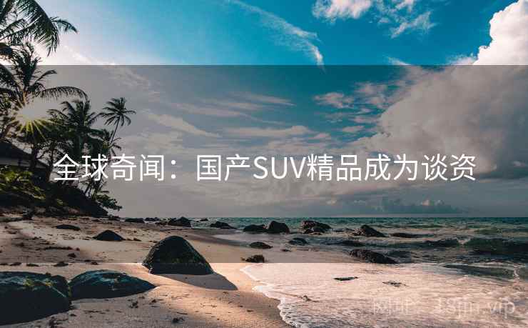 全球奇闻：国产SUV精品成为谈资  第1张