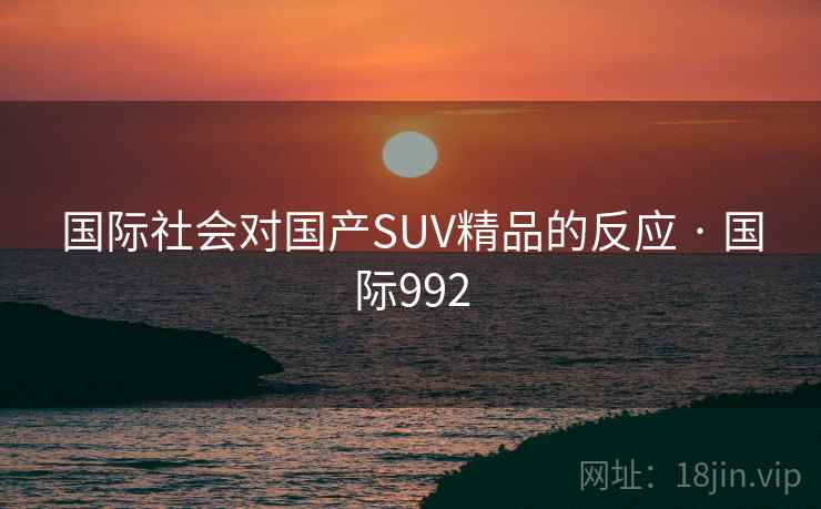 国际社会对国产SUV精品的反应 · 国际992  第2张