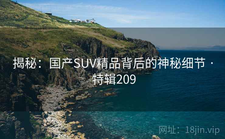 揭秘：国产SUV精品背后的神秘细节 · 特辑209