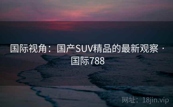 国际视角：国产SUV精品的最新观察 · 国际788  第2张